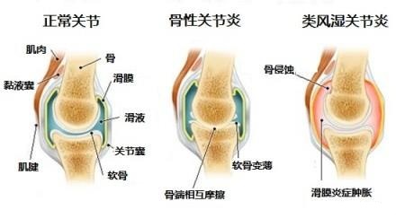 7065a45f388a43e787317c0cd2575f5e 7065a45f388a43e787317c0cd2575f5e